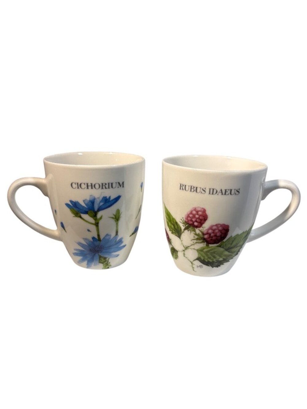 Marjolein Bastin Wildflowers Mugs Cichorium & Viola, Rubus & Spicata Set Of 2